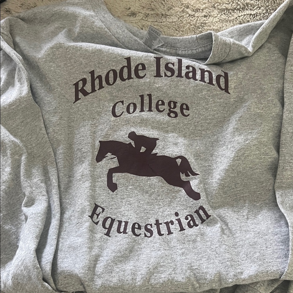 5/$10 Gray Equestrian Print Sweater